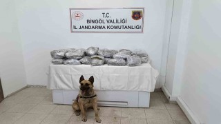 Bingölde 49 kilo esrar ele geçirildi