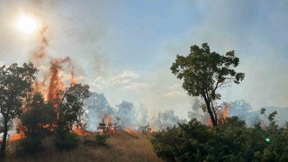Bingölde çıkan orman yangınları söndürüldü