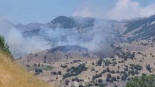Bingölde orman yangını kontrol altına alındı
