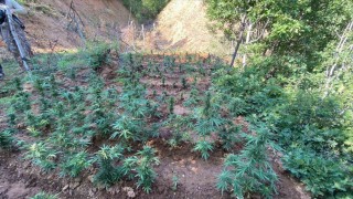 Bingölde uyuşturucuyla mücadele sürüyor