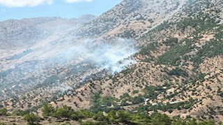 Bingöldeki orman ve arazi yangınları söndürüldü