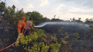 Bingöldeki orman yangını kontrol altına alındı