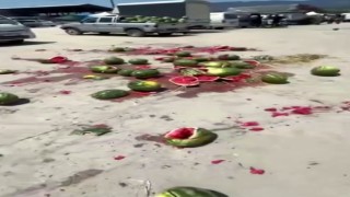 Bir römork dolusu karpuzu pazarın ortasında yere fırlatarak parçaladı