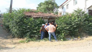 Bir şehir bunu konuşuyor: Keloğlanın Çankırılı olduğu iddiası gündem oldu