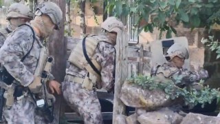 Bitlis merkezli suç örgütü operasyonunda 22 kişi gözaltına alındı