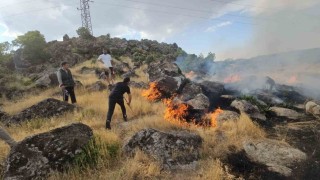 Bitliste örtü yangını