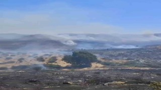 Bodrumda otluk alanda çıkan yangın kısa sürede kontrol altına alındı