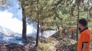 Boluda çıkan orman yangını büyümeden söndürüldü