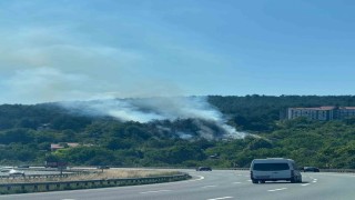Boluda çıkan orman yangını büyümeden söndürüldü