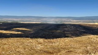 Boluda korkutan anız yangını, evlere sıçramadan söndürüldü