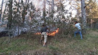 Boluda orman yangını başladı