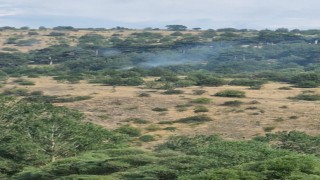 Boluda yıldırım kaynaklı çıkan yangınlar söndürüldü