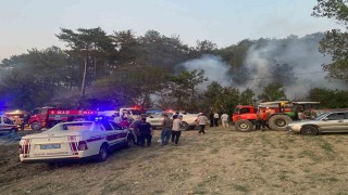 Boludaki orman yangını kontrol altına alındı