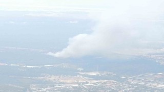 Bornovada orman yangını