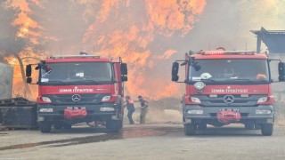 Bornovada orman yangınını söndürme çalışmaları devam ediyor