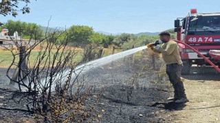 Bozarmut Ovasındaki zirai yangın kısa sürede söndürüldü