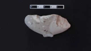 Bu ‘Kilya tipi figür tüm tarihi değiştirecek