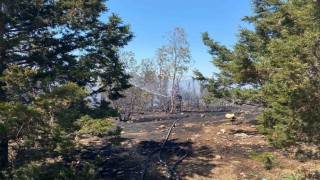 Bucadaki orman yangını kontrol altına alındı