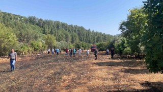 Bucakta çıkan arazi yangınında 1 dönüm alan yandı