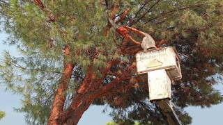 Buharkent Belediyesinden anında müdahale