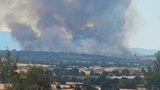 Bulgaristandaki orman yangını Türkiye sınırına dayandı