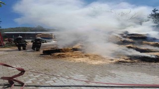 Burdurda çıkan yangında 250 saman balyası kül oldu