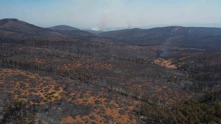 Bursada acı tablo: Harmancıkta yanan yerler havadan görüntülendi