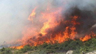 Bursada alevler tekrar yükseldi