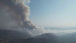 Bursada alevler yeniden yükseldi, müdahale havadan görüntülendi