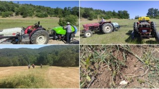 Bursada çekirge ile mücadele başladı