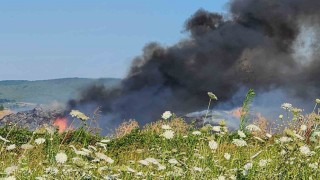 Bursada çiftlikte çıkan yangın 3 yere sıçradı