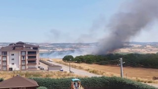 Bursada korkutan anız yangını
