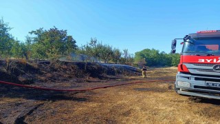 Bursada orman yangını