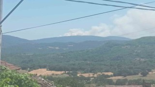 Bursada orman yangını: Havadan ve karadan müdahale ediliyor