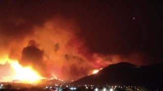 Bursada orman yangını Karahıdır Mahallesine ulaştı