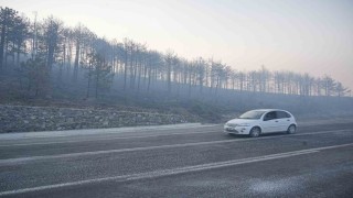 Bursadaki orman yangını 3. gününde... Gökyüzünü kaplayan duman bulutundan göz gözü görmüyor