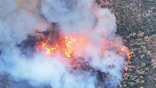 Bursadaki orman yangınları büyüyor