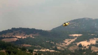 Bursadaki orman yangınlarına havadan yoğun müdahale