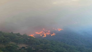 Bursanın ciğerleri yanıyor