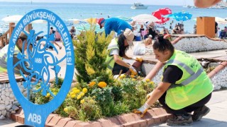 Büyükşehiden Didimde peyzaj ve temizlik çalışması