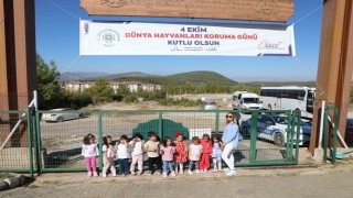 Büyükşehir Geçici Hayvan Bakımevinden 3 bin 779 can dosta yeni yuva