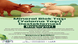 Büyükşehirden hayvanlara yalama taşı desteği