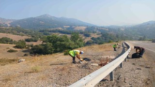 Büyükşehirden yangın bölgelerinde çevre temizliği