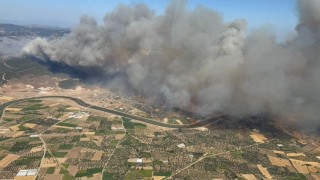 Çanakkale Valisi Toraman, Ayvacıktaki orman yangınını havadan kontrol etti
