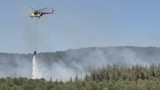 Çanakkalede orman yangını