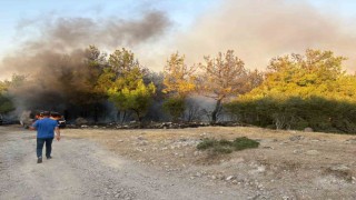 Çanakkalede park halindeki midibüste çıkan yangın ormana sıçradı