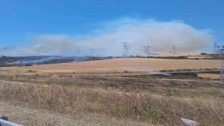 Çanakkalede tarım arazisinde çıkan yangın kontrol altına alındı