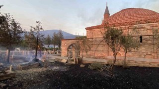 Çanakkaledeki orman yangınında tarihi mezarlar zarar gördü