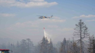 Çankırı Valiliği: Orman yangınına 216 personel ve 7 helikopterle müdahale ediliyor