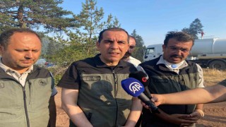 Çankırı Valisi Taşolar: Yangının ilerleyişi durduruldu